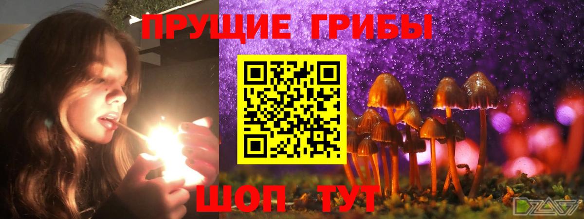 Зеленогорск  Псилоцибиновые грибы мухоморы  Вход с VPN 