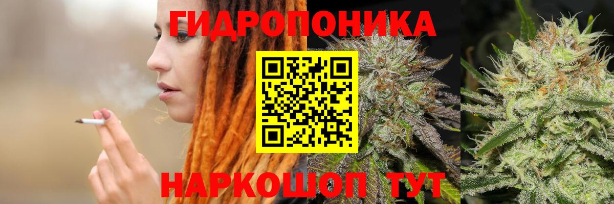 Марихуана тримм  МАРИХУАНА White Widow  Зеленогорск  Бошки марихуана семена  Вход с VPN 